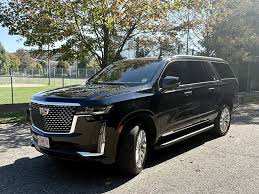 Luxury Sedan or SUV